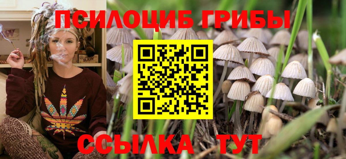 Галлюциногенные грибы Psilocybe  Вход с VPN  Армавир  Псилоцибиновые грибы мицелий 